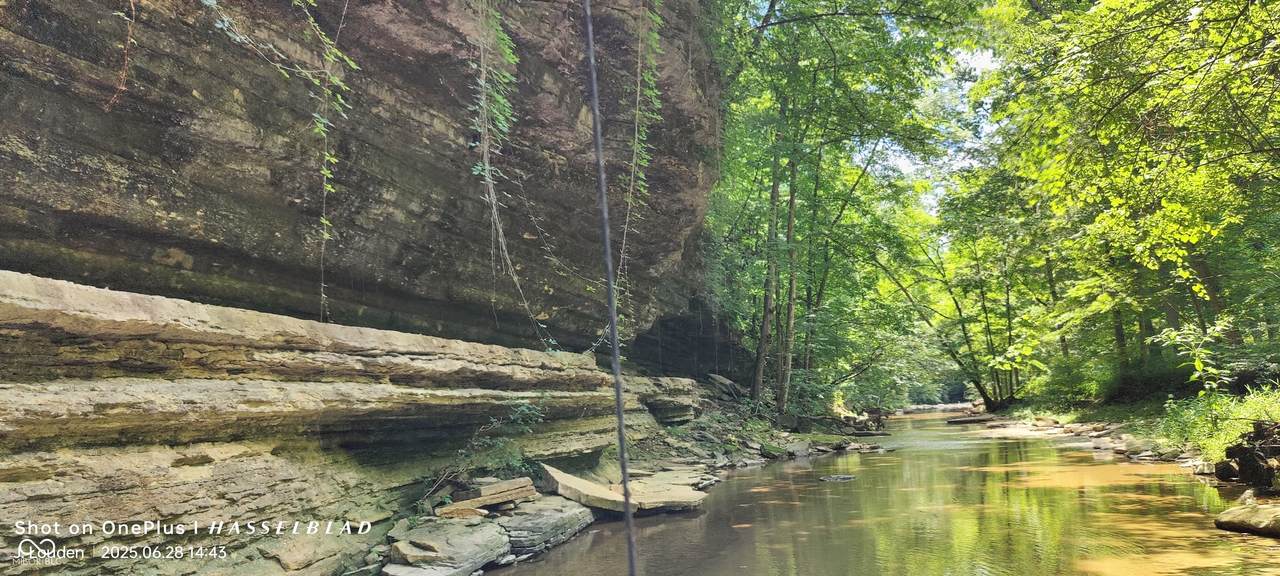 11182 County Road 280 - Photo 1