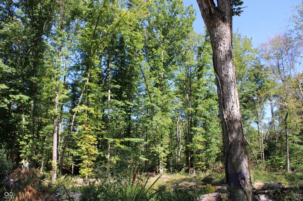 https://bt-photos.global.ssl.fastly.net/indy/1280_boomver_1_22067205-1.jpg