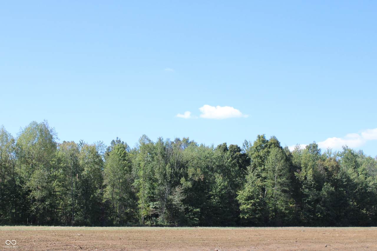 https://bt-photos.global.ssl.fastly.net/indy/1280_boomver_1_22067211-1.jpg