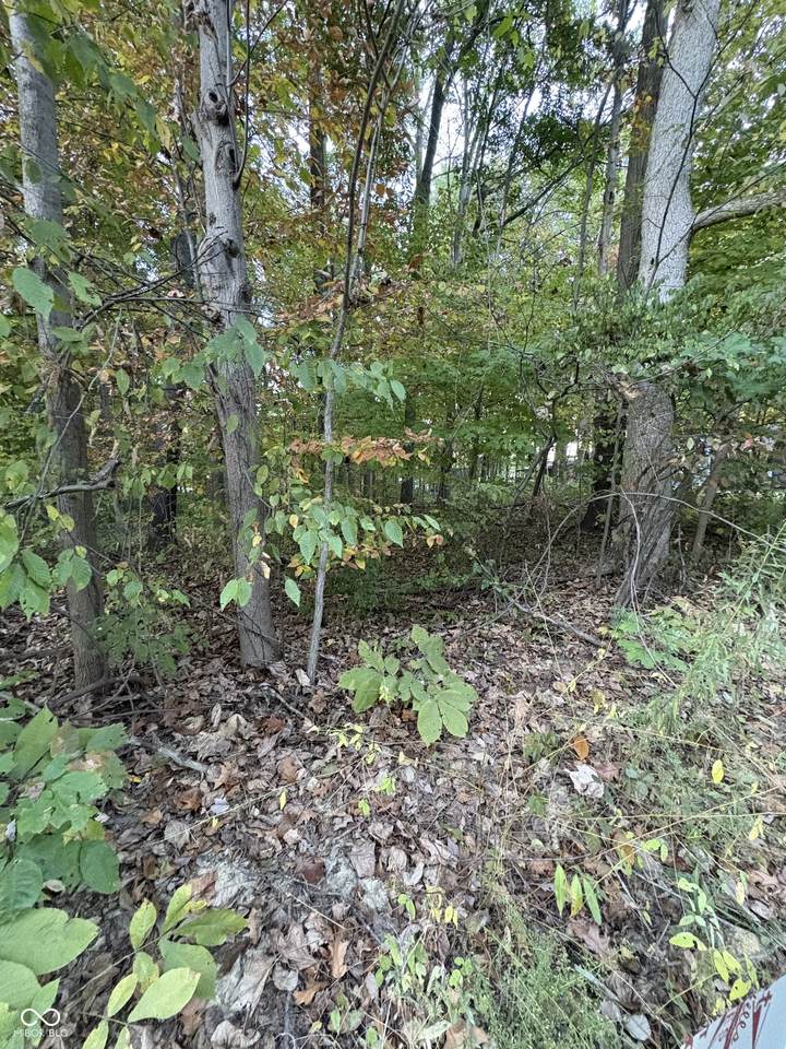 205 Stardust Way - Photo 1