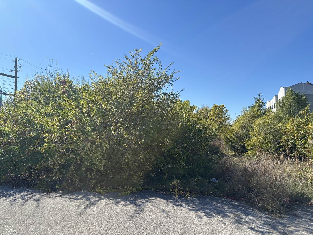 2069 Yandes Street - Photo 1