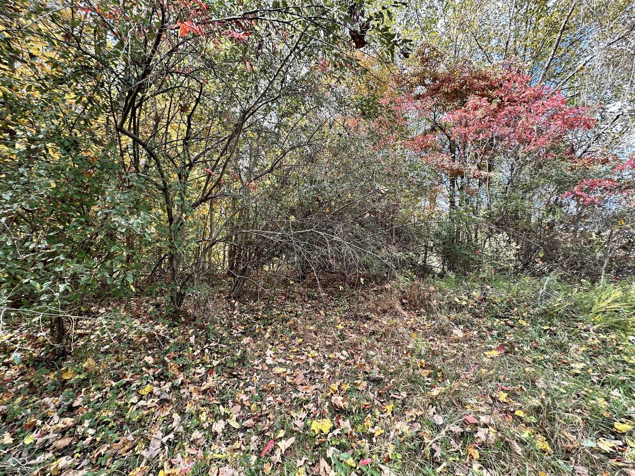 0 Foxcliff East Drive - Photo 1