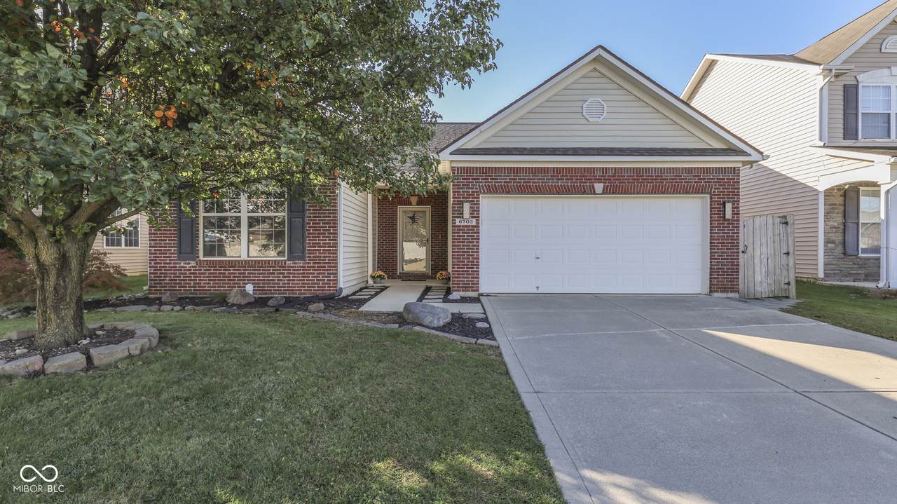 6703 Locust Grove Drive - Photo 1