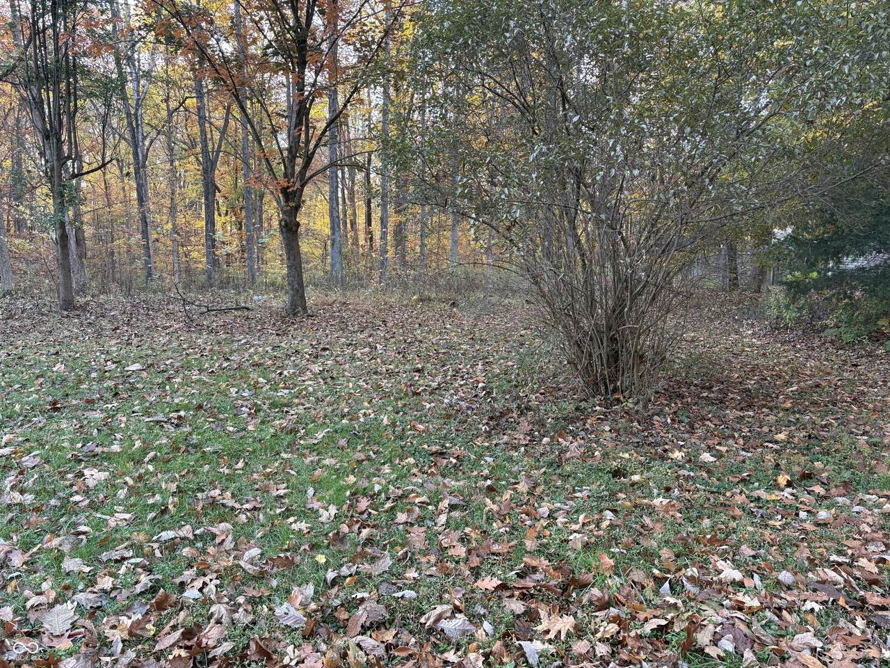 628 Lazy River Road - Photo 1