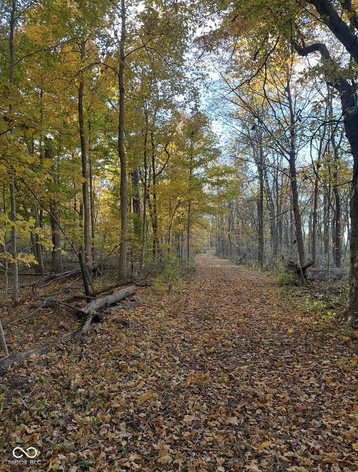 0 Cyntheanne Road - Photo 1