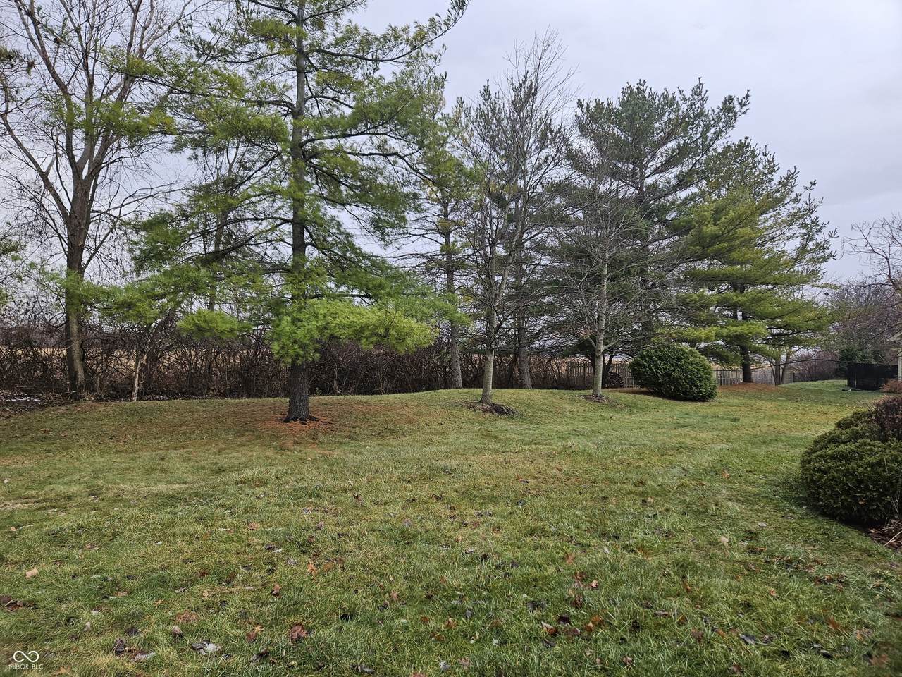 https://bt-photos.global.ssl.fastly.net/indy/1280_boomver_1_22077183-1.jpg