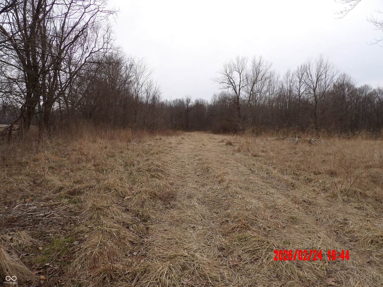 6850 County Road 25 - Photo 1
