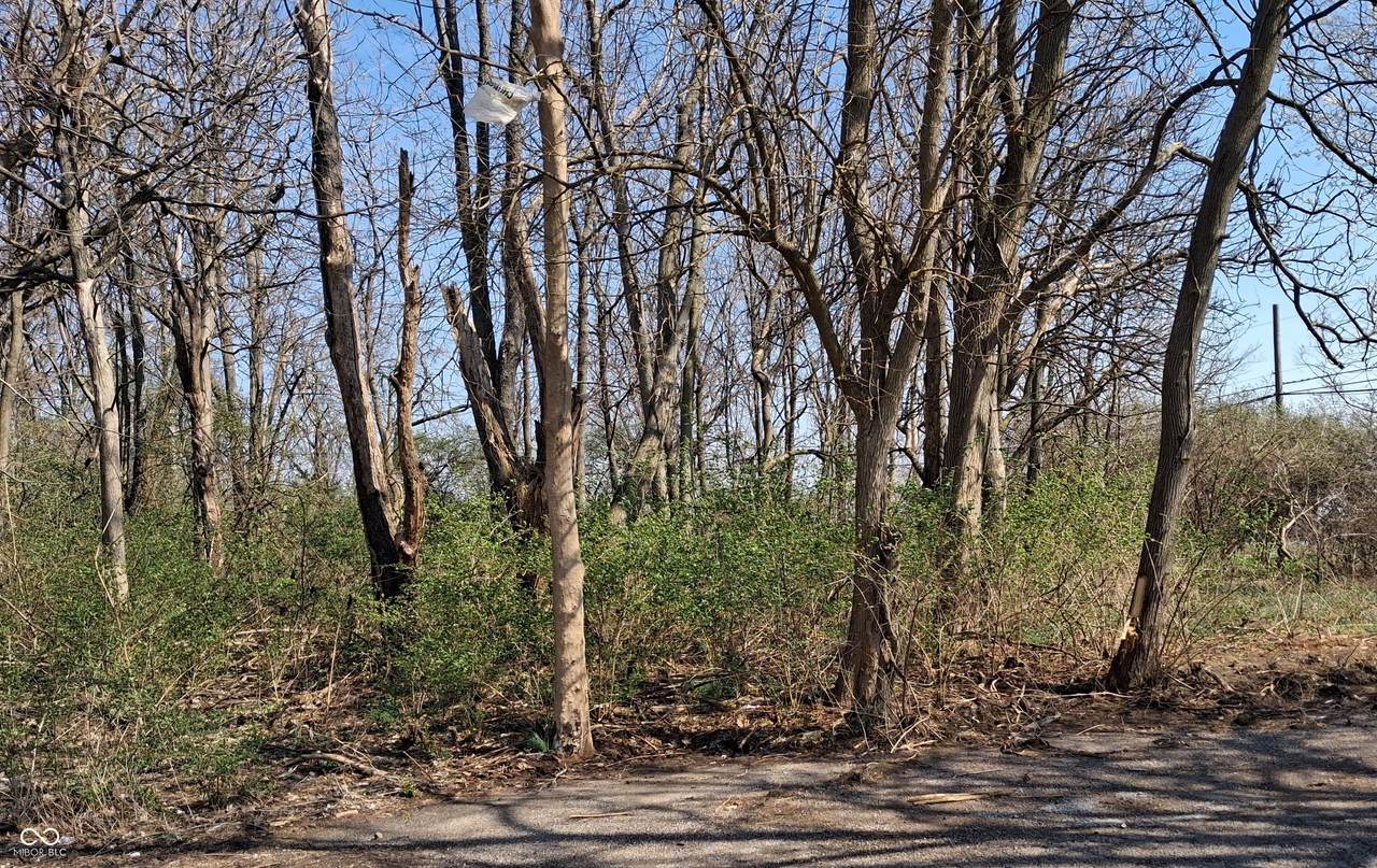 1845 Luther Street - Photo 1