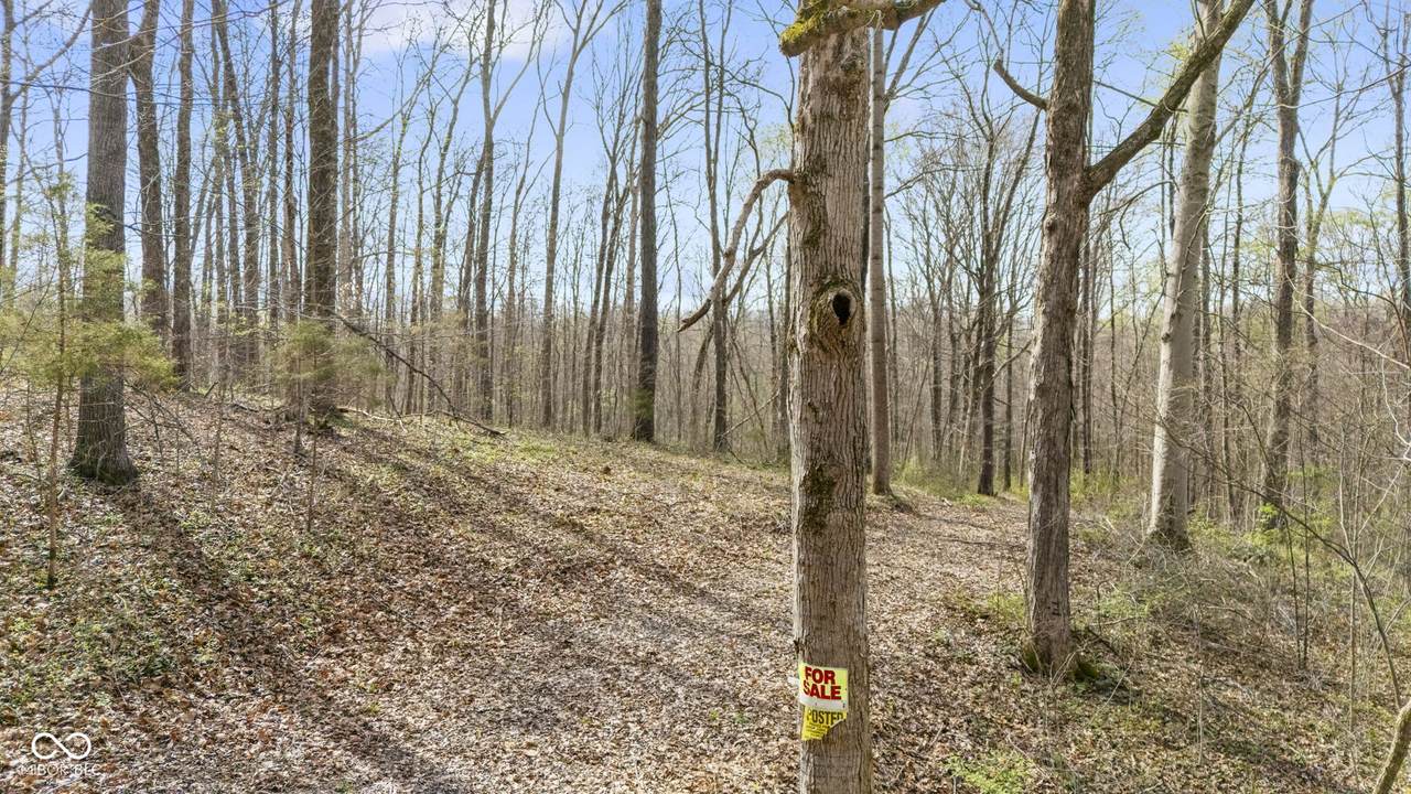 4805 County Road 400 - Photo 1
