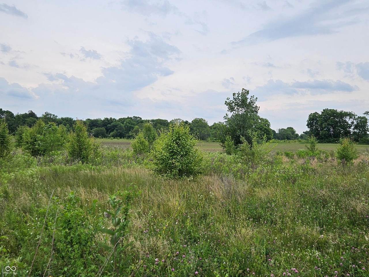 0 White Oak Lane - Photo 1