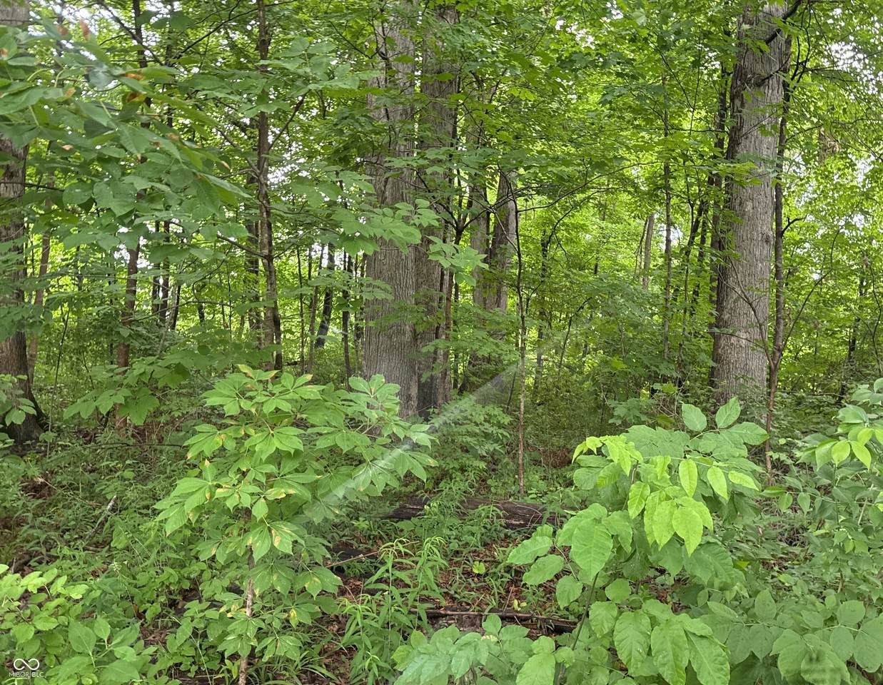 https://bt-photos.global.ssl.fastly.net/indy/1280_boomver_1_22094722-1.jpg