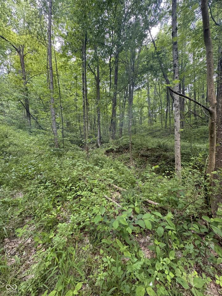 https://bt-photos.global.ssl.fastly.net/indy/1280_boomver_1_22095251-1.jpg
