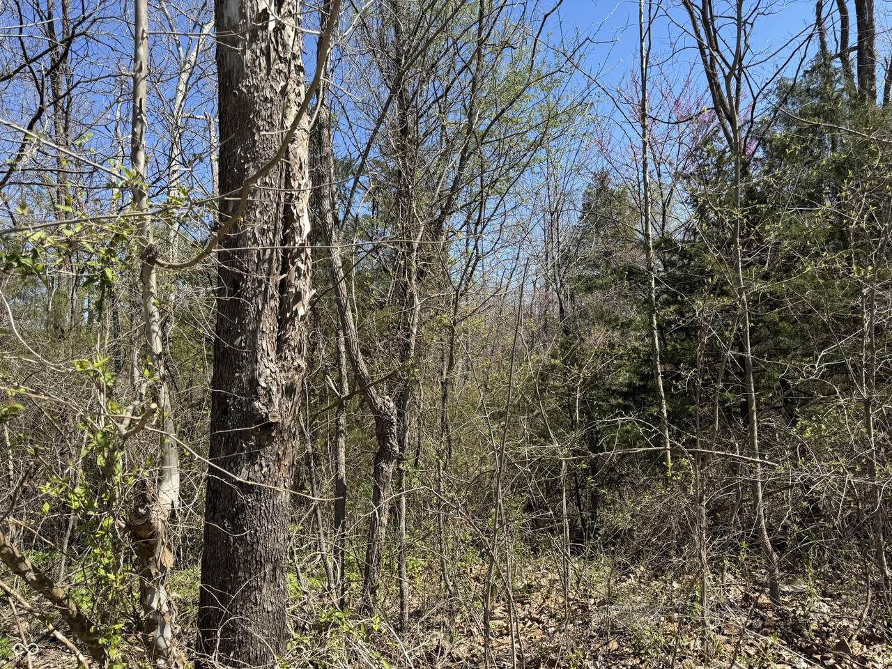 Lot B-21 State Highway 46 - Photo 1