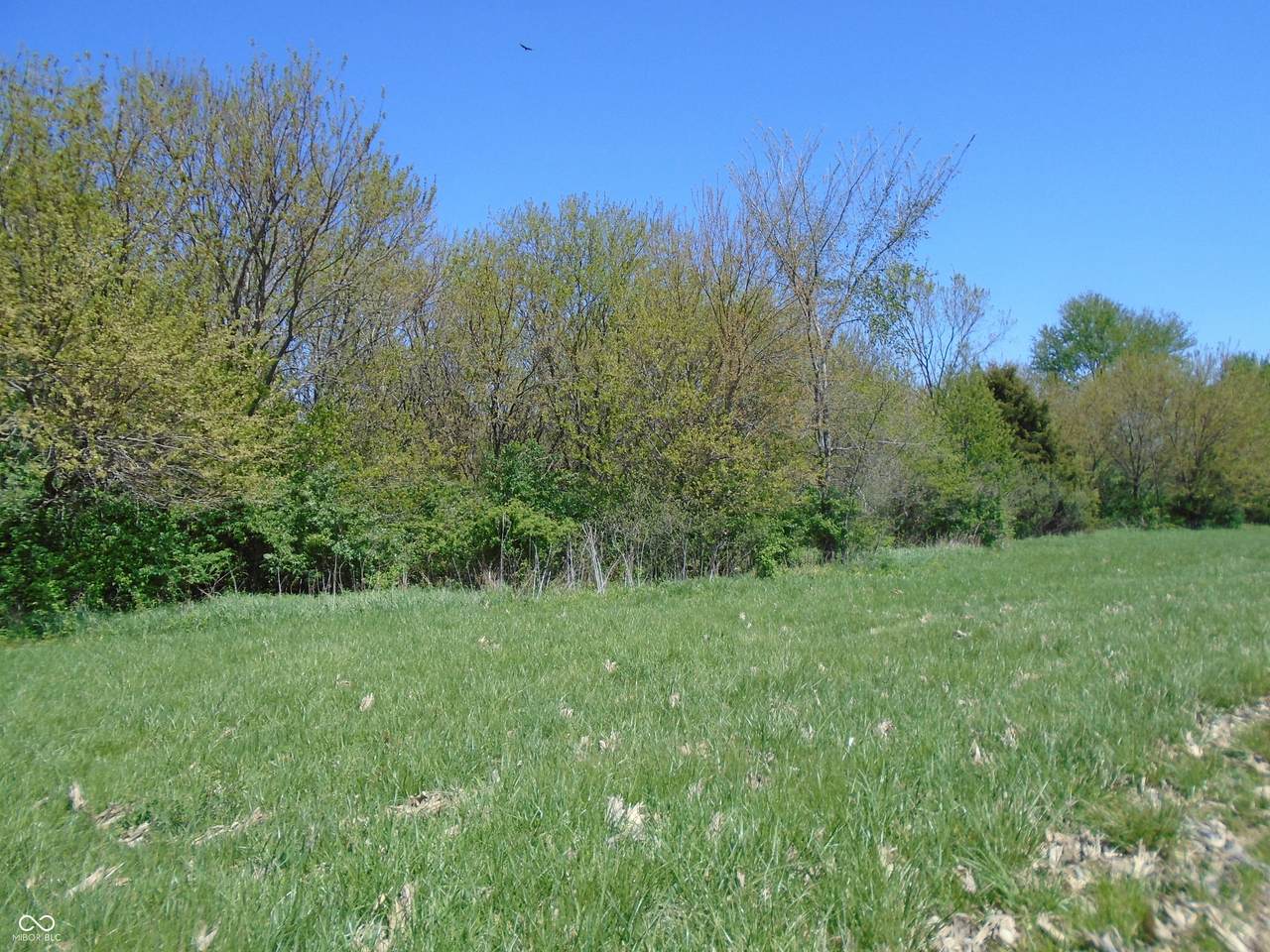 500 County Road 100 - Photo 1