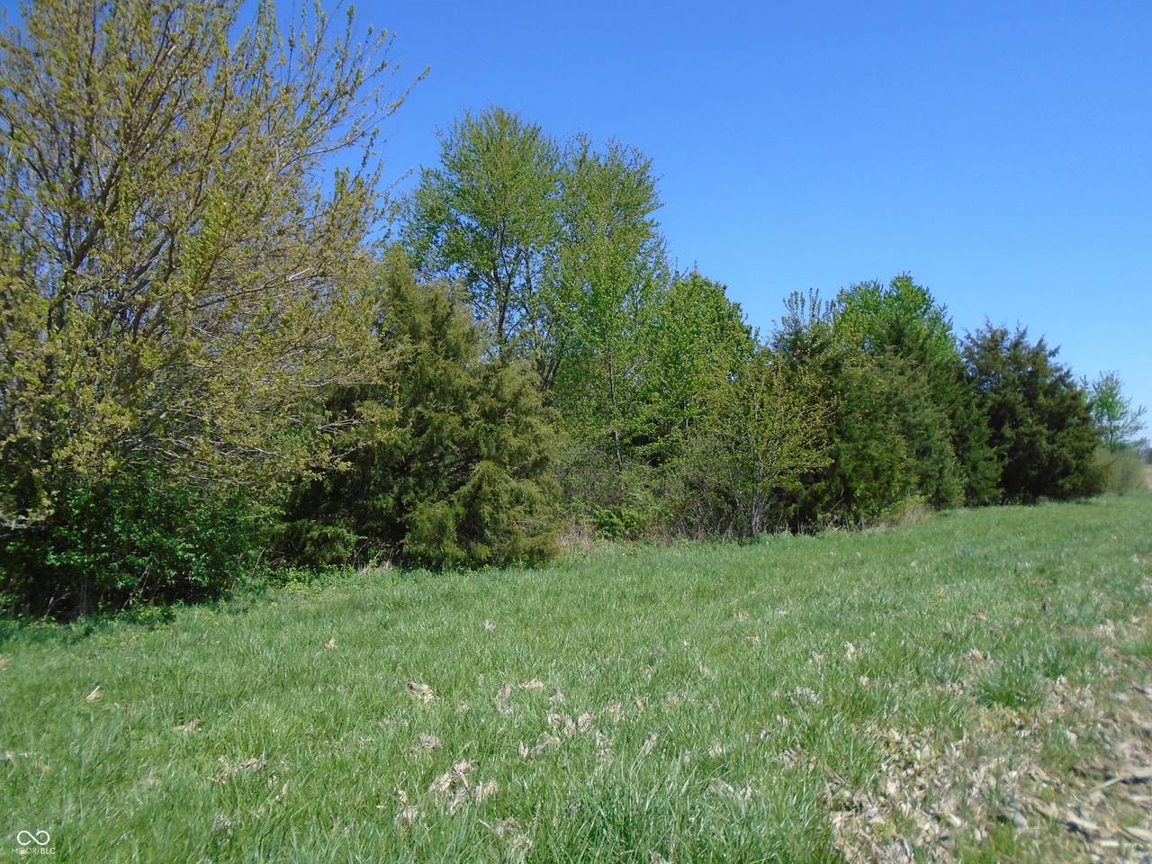 https://bt-photos.global.ssl.fastly.net/indy/1280_boomver_1_22097137-1.jpg
