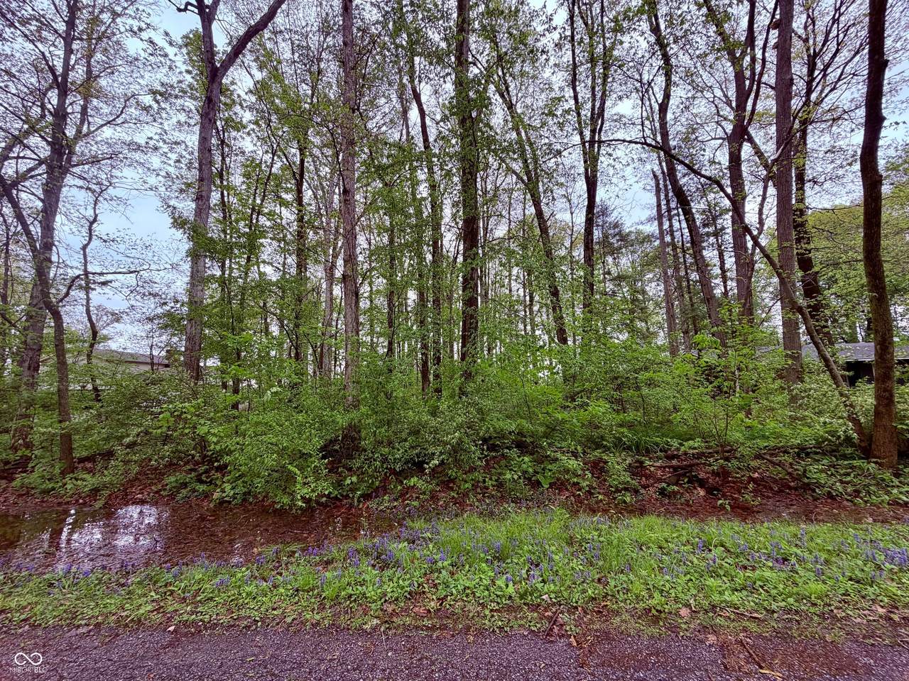 https://bt-photos.global.ssl.fastly.net/indy/1280_boomver_1_22098443-1.jpg
