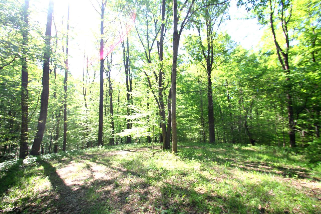 https://bt-photos.global.ssl.fastly.net/indy/1280_boomver_1_22099385-1.jpg