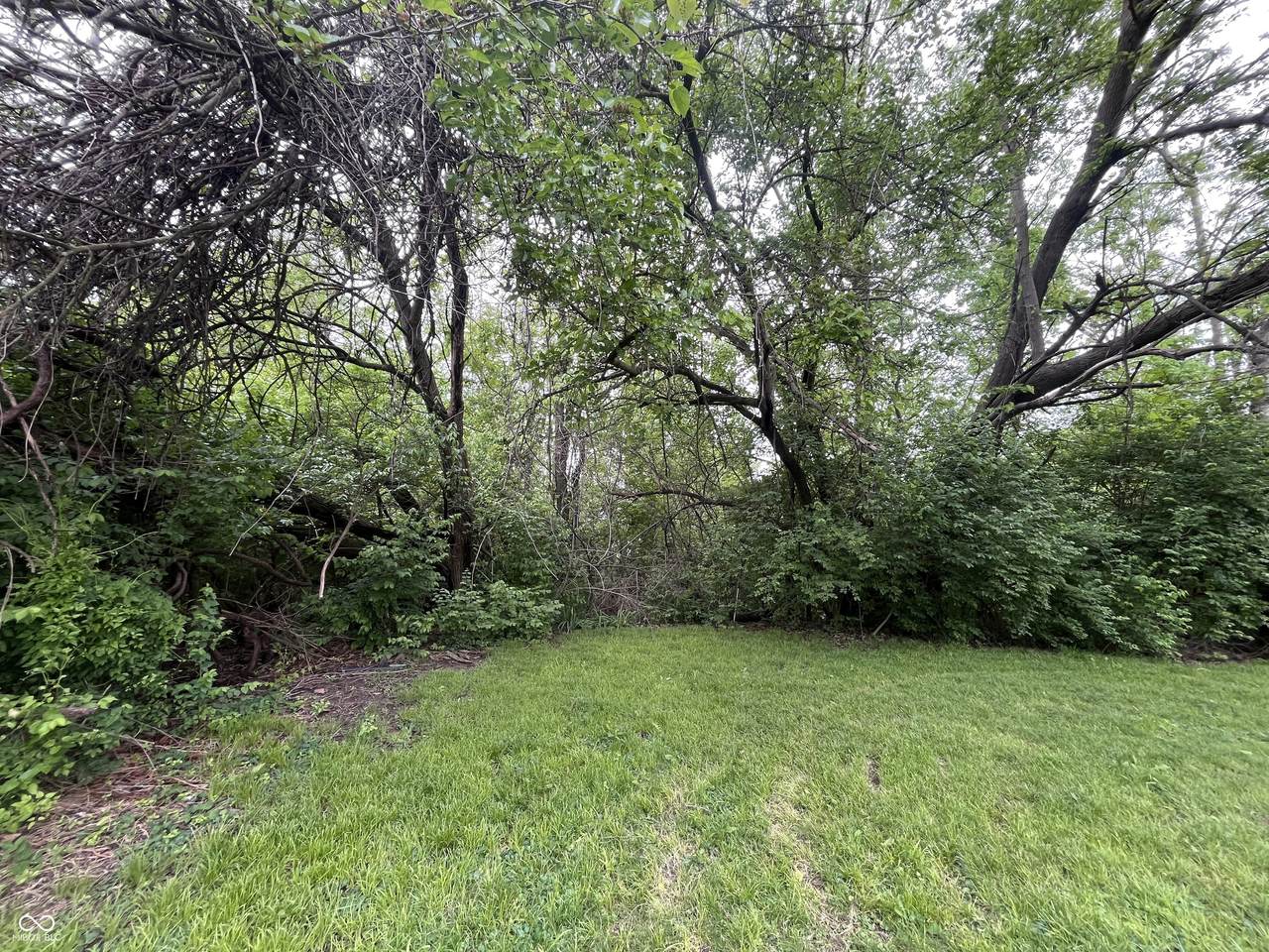 1505 Cruft Street - Photo 1