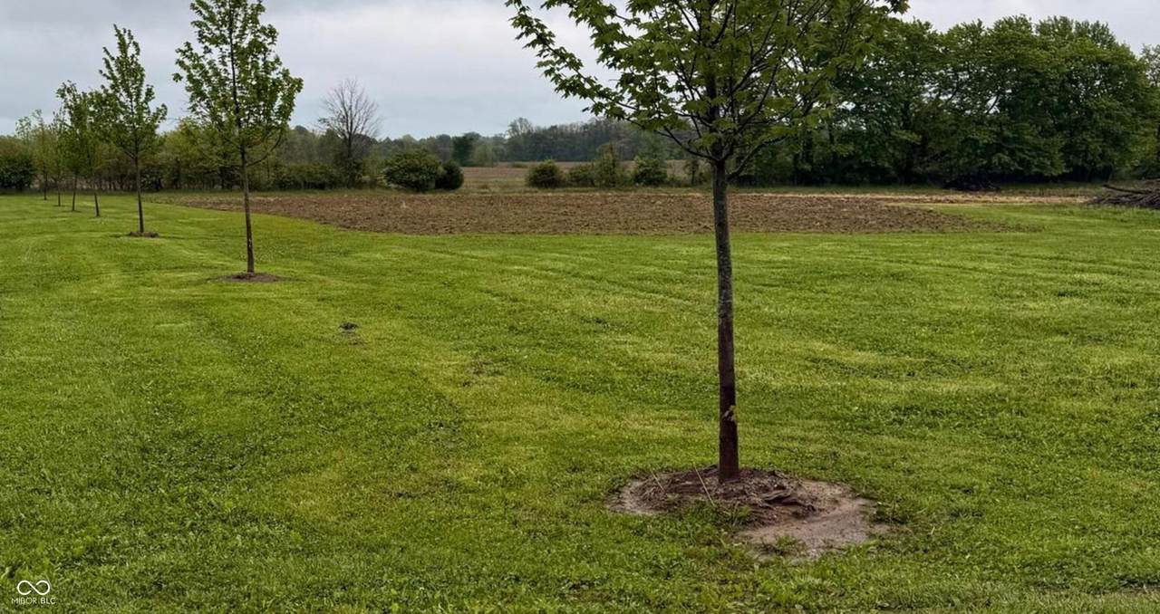 2425 County Road 150 - Photo 1