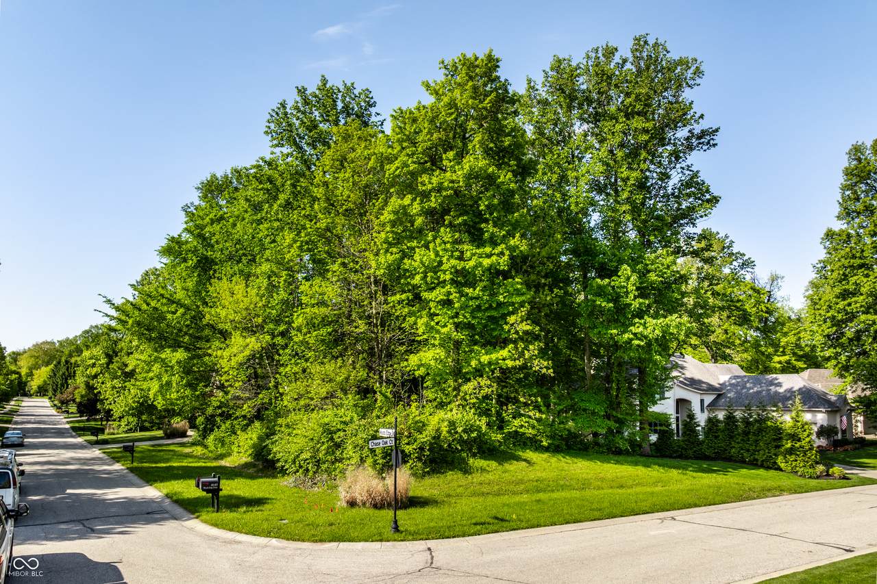 0 Chase Oak Court - Photo 1