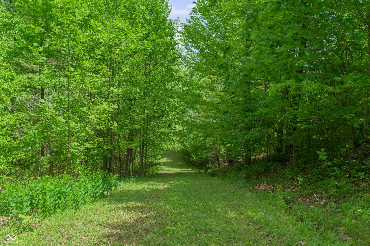https://bt-photos.global.ssl.fastly.net/indy/1280_boomver_1_22100915-1.jpg