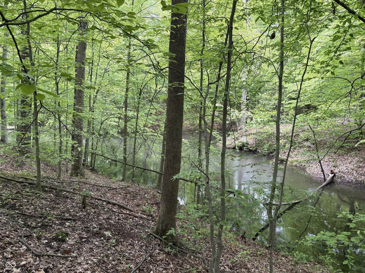 102 & 104 Crabapple Court - Photo 1