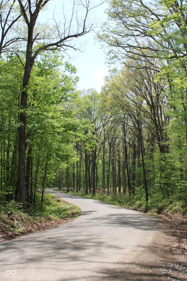 Tract 4: 0 County Road 555 - Photo 1