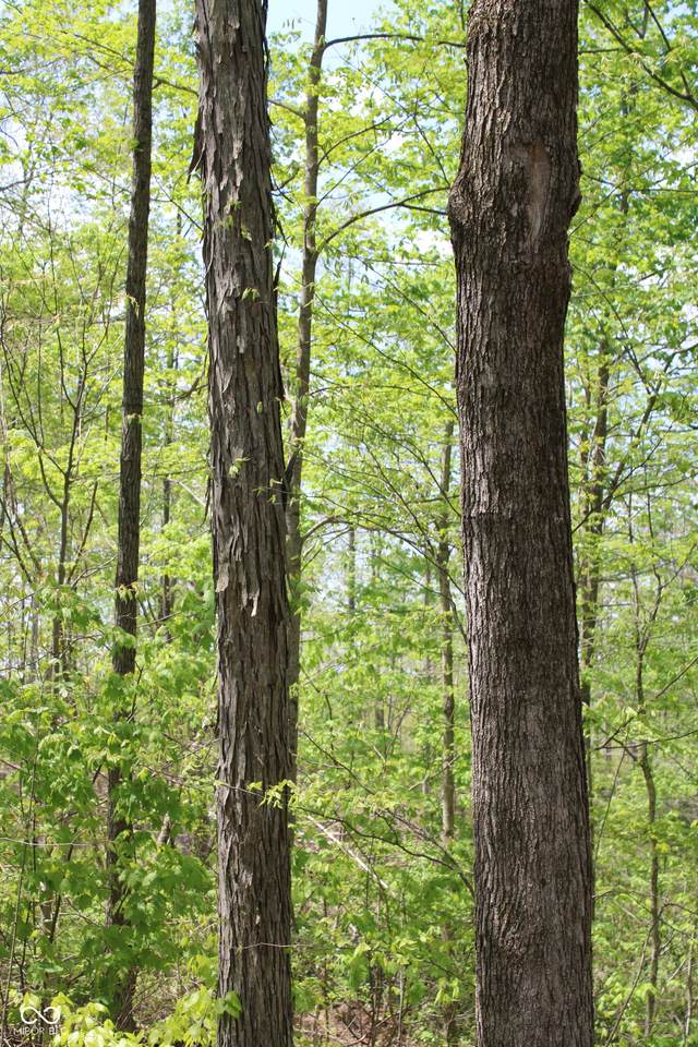 https://bt-photos.global.ssl.fastly.net/indy/1280_boomver_1_22102453-1.jpg