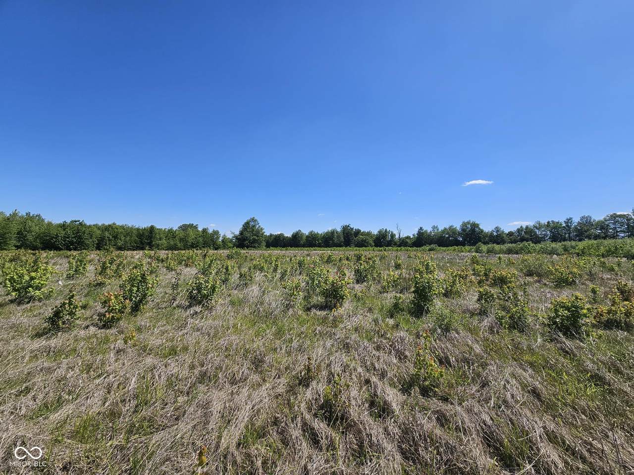 6000 Block Us Highway 31 - Photo 1
