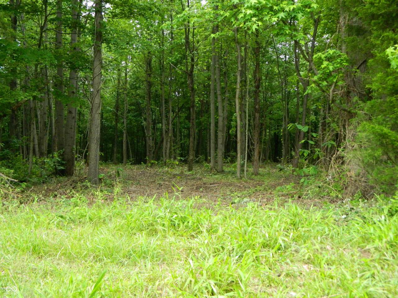 0 County Road 700 - Photo 1