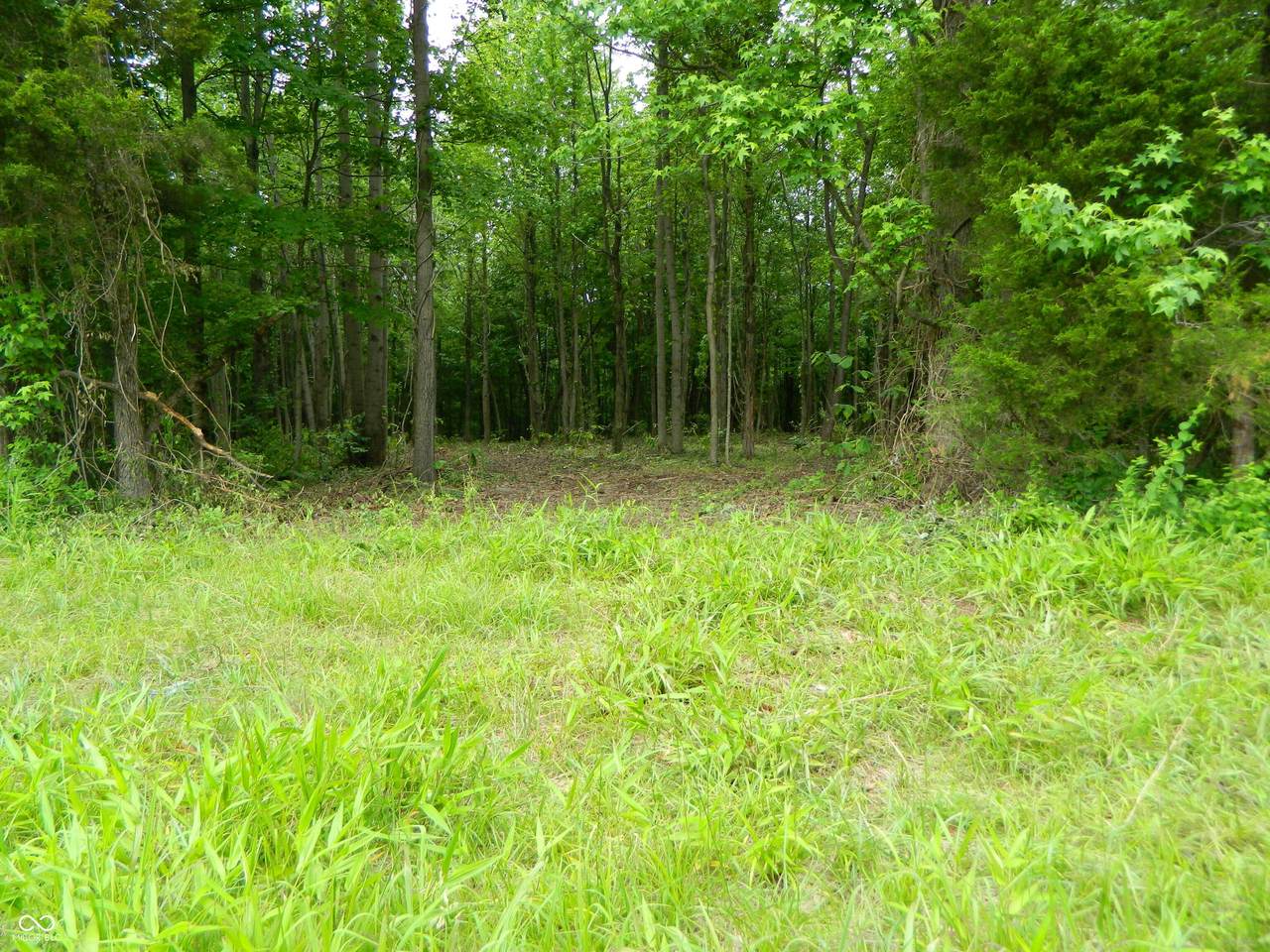 https://bt-photos.global.ssl.fastly.net/indy/1280_boomver_1_22103145-1.jpg