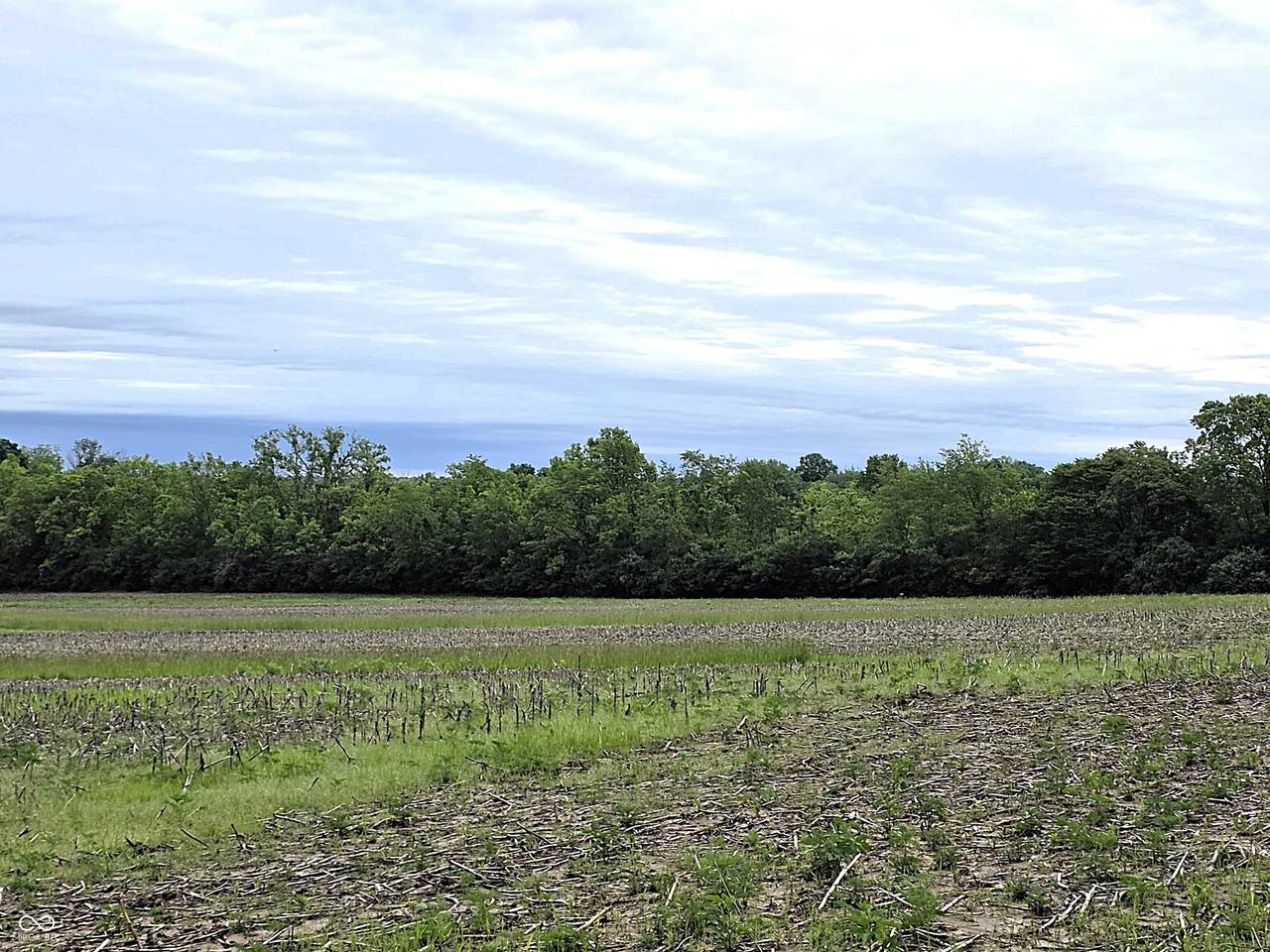 Lot 4 Legacy Meadows - Photo 1