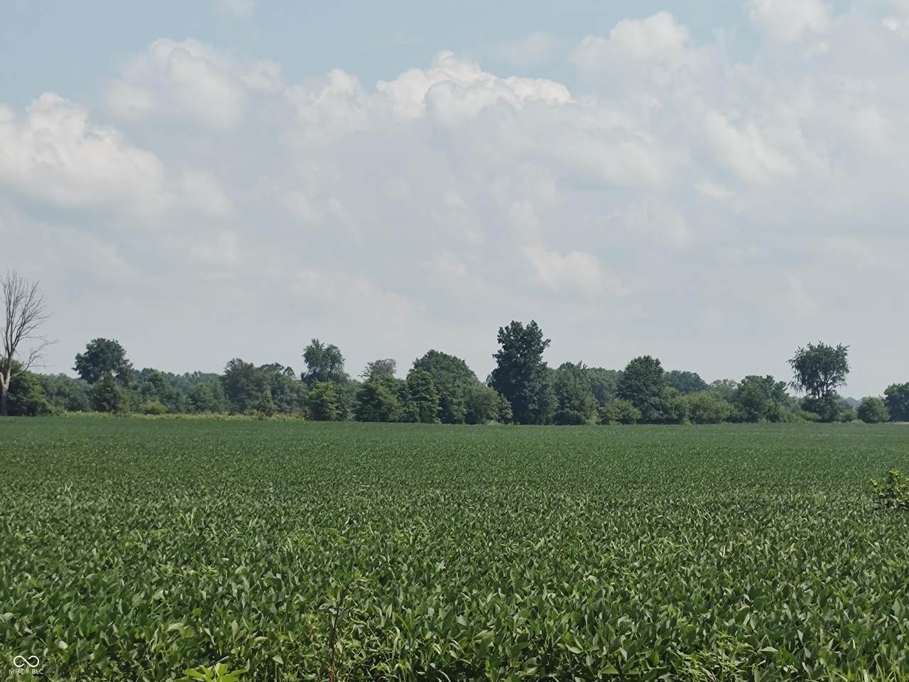 https://bt-photos.global.ssl.fastly.net/indy/1280_boomver_1_22105077-1.jpg