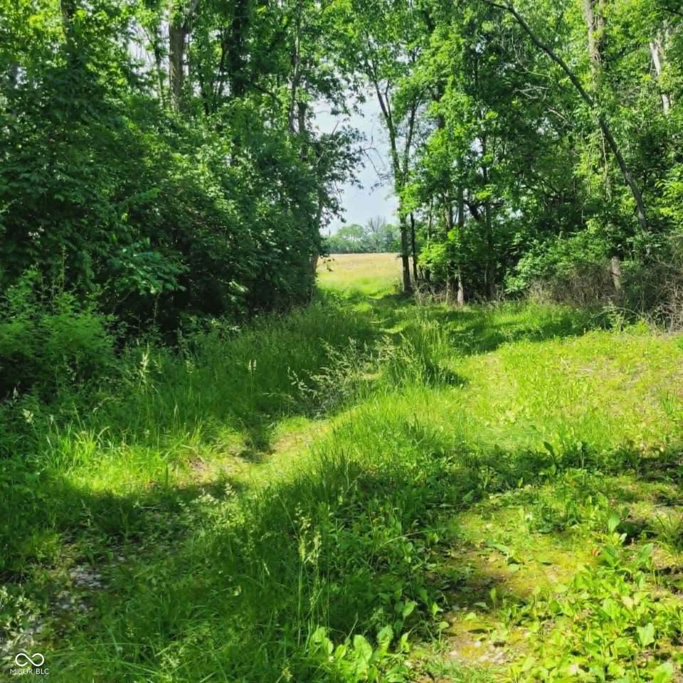11680 Marlin Road - Photo 1