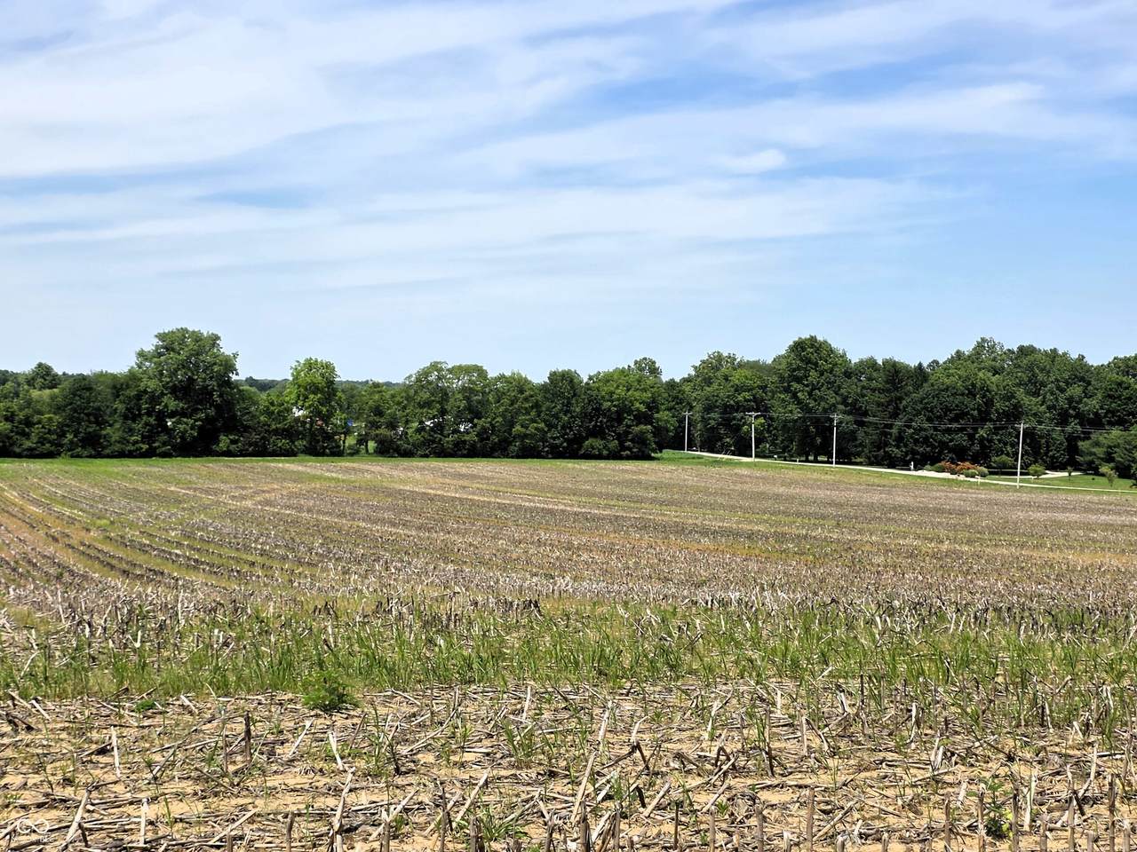 Lot 4 Legacy Estates At Paradise - Photo 1