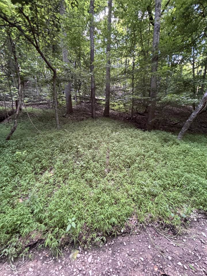 8610 Bay Street - Photo 1