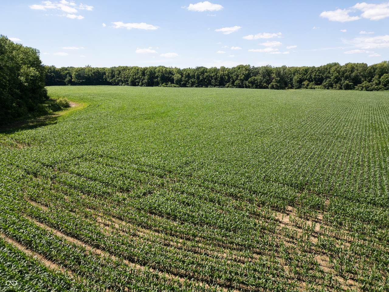 0 E State Road 44 - Photo 1