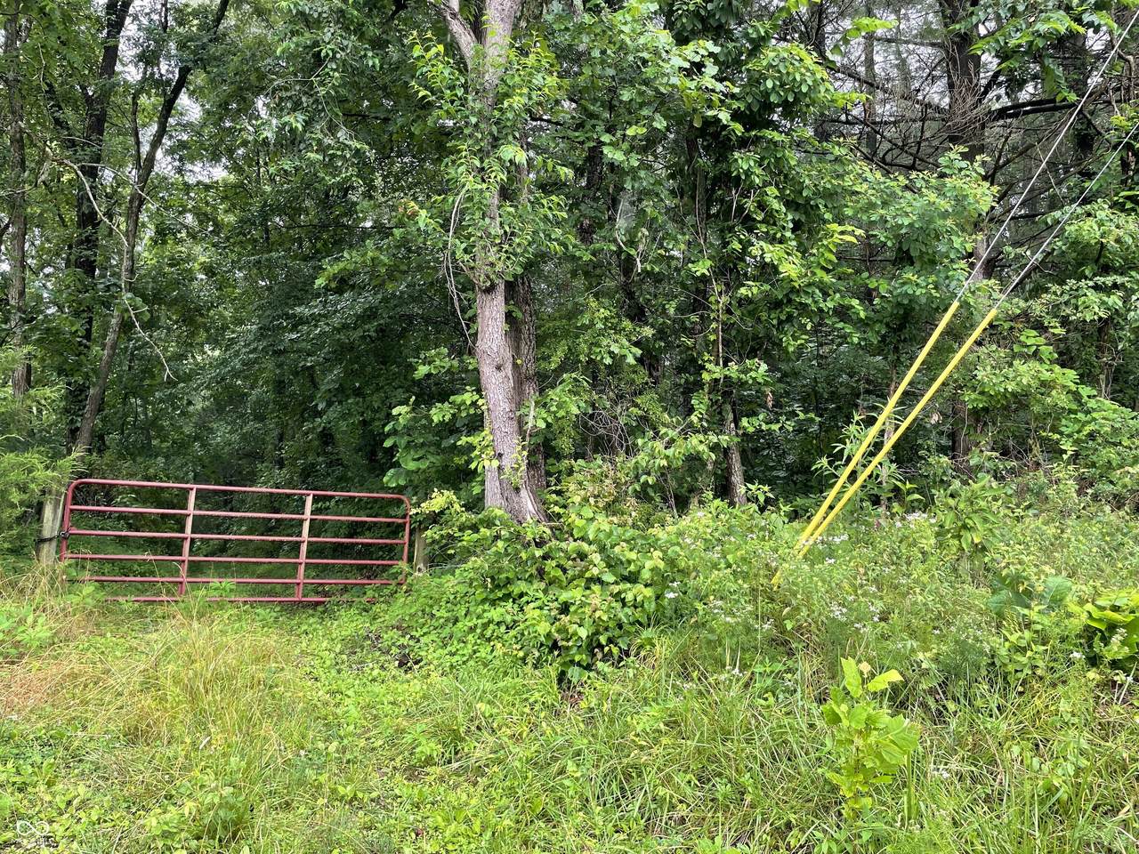6000 County Road 500 - Photo 1