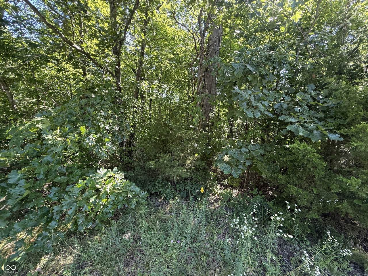 6579 Nicole Drive - Photo 1