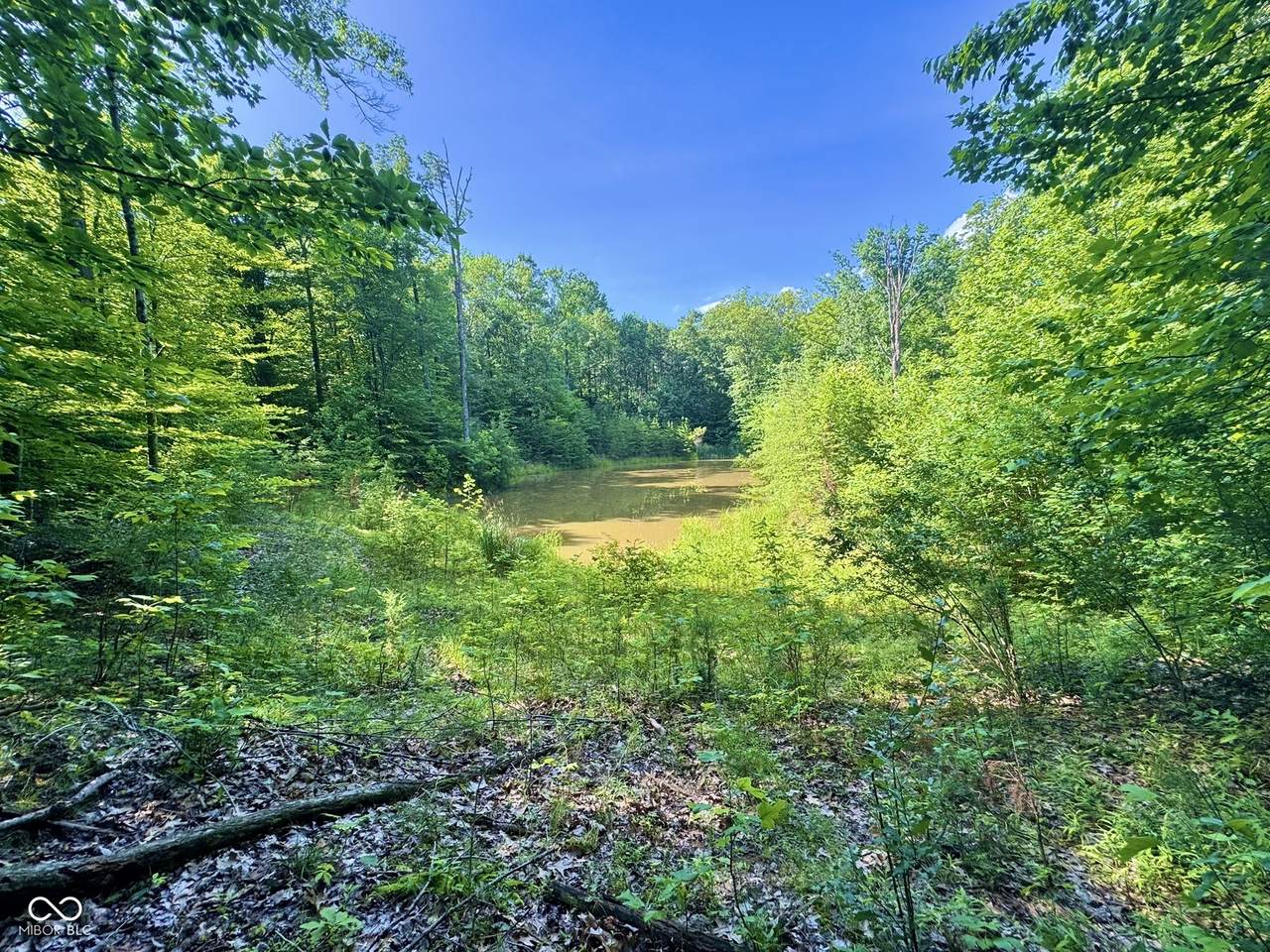 5578 Nebo Country Drive - Photo 1