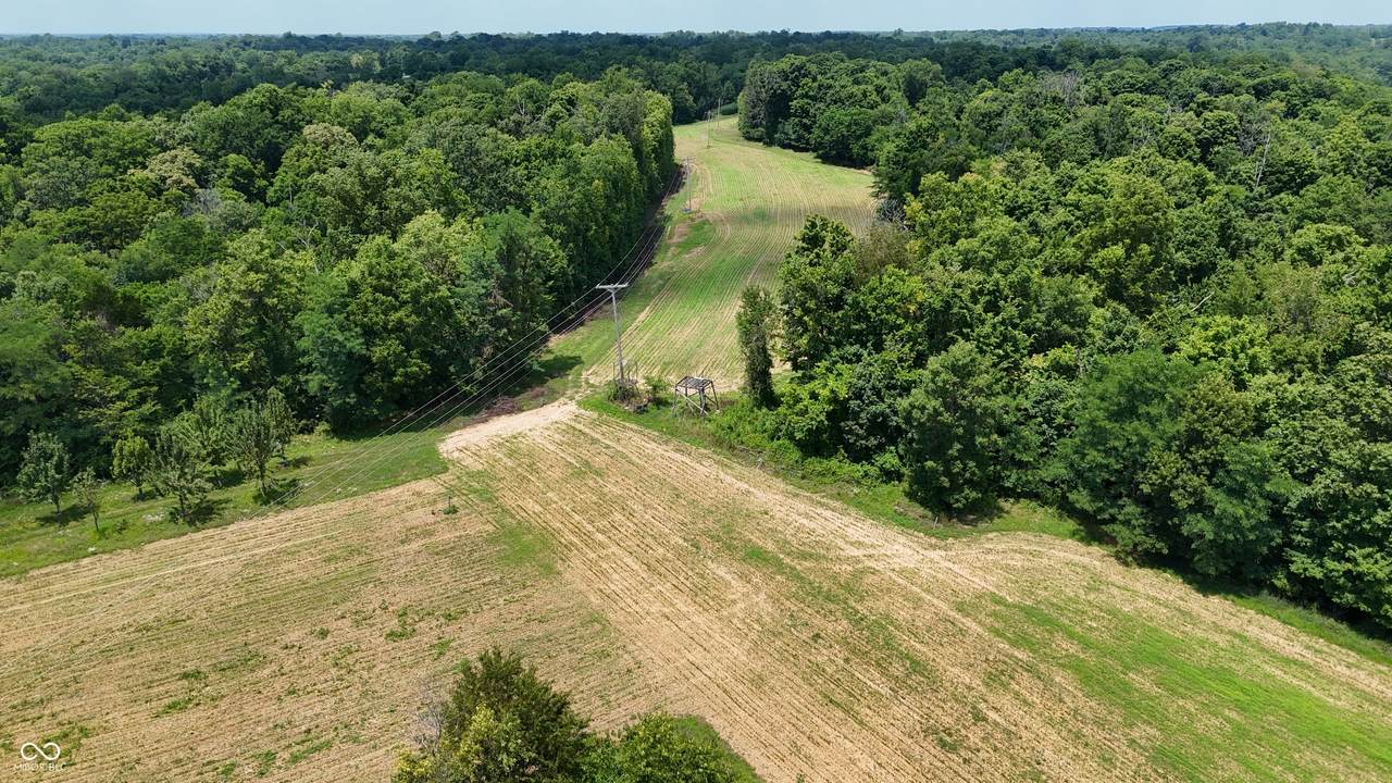 7800 Markland Pike - Photo 1