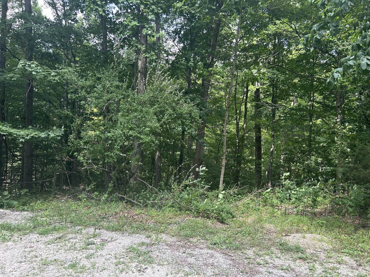 0 Aspen Drive - Photo 1