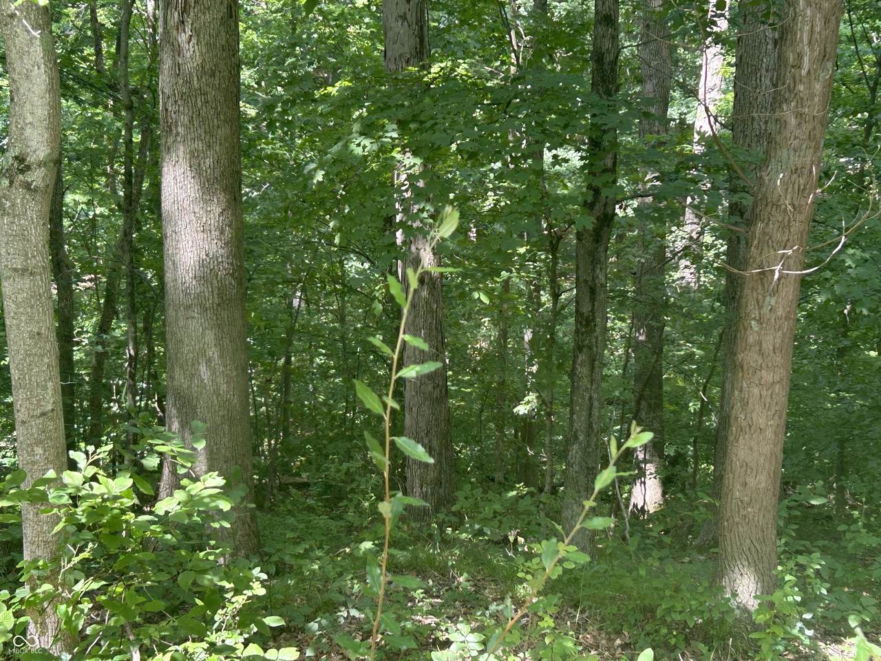 https://bt-photos.global.ssl.fastly.net/indy/1280_boomver_1_22113104-1.jpg