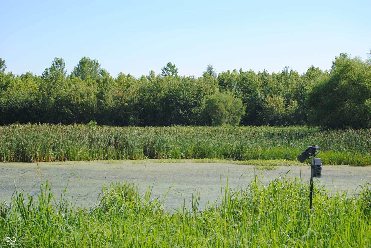 8000 County Road 1000 - Photo 1