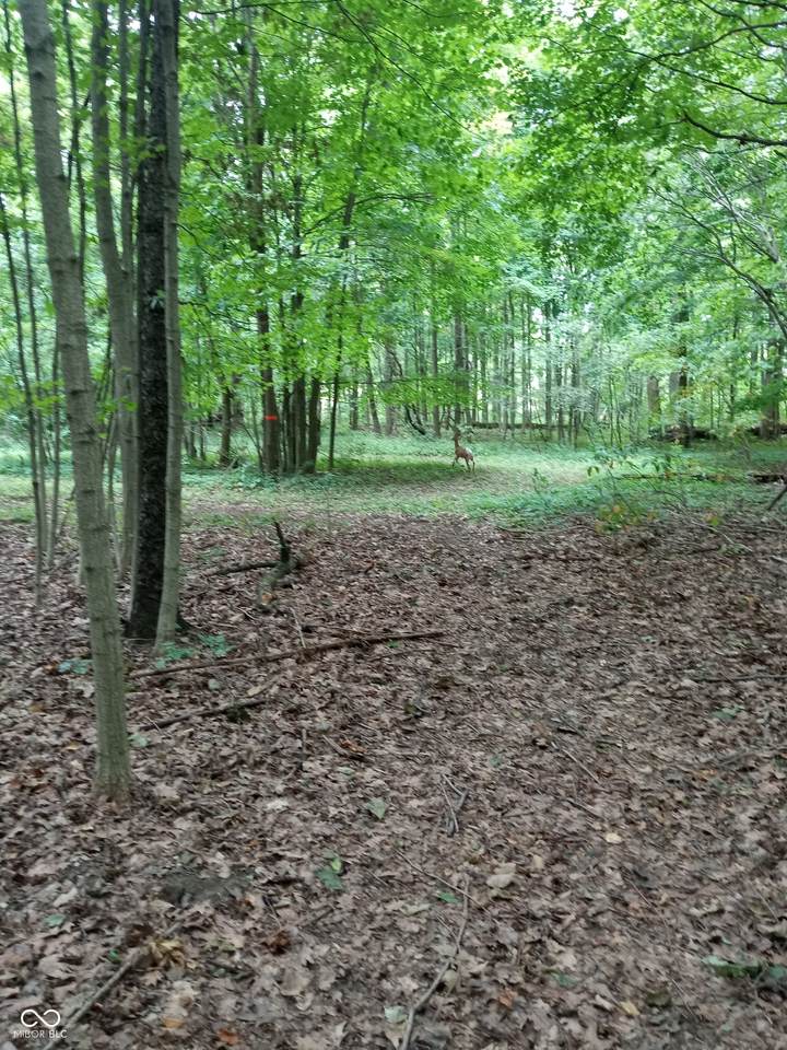 https://bt-photos.global.ssl.fastly.net/indy/1280_boomver_1_22115084-1.jpg