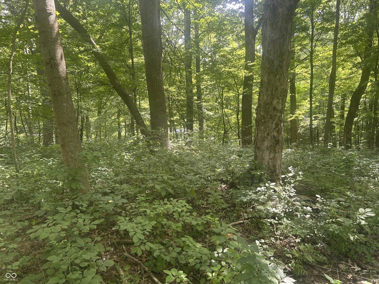https://bt-photos.global.ssl.fastly.net/indy/1280_boomver_1_22115228-1.jpg