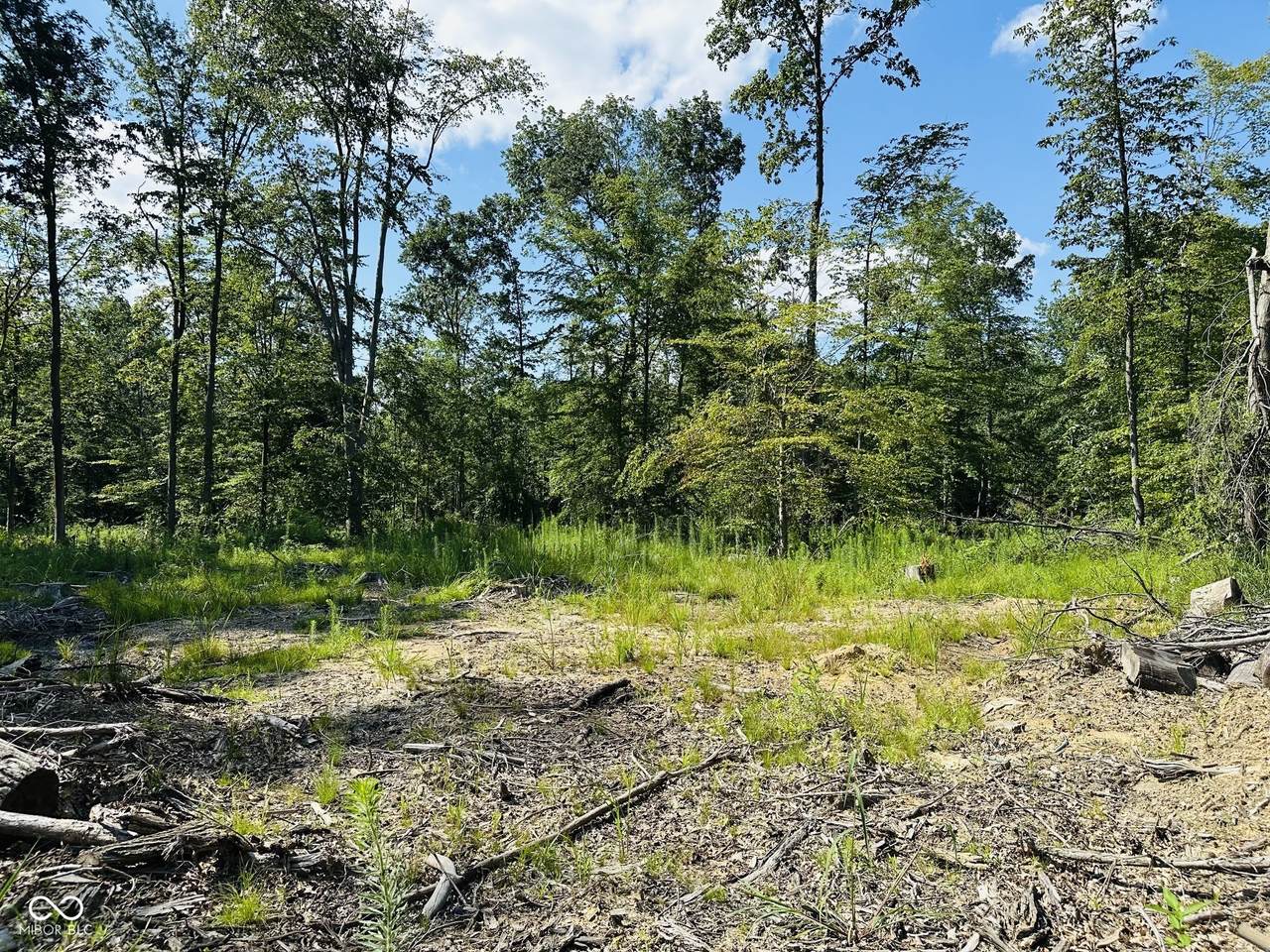 Tract A Private Rd 775 - Photo 1