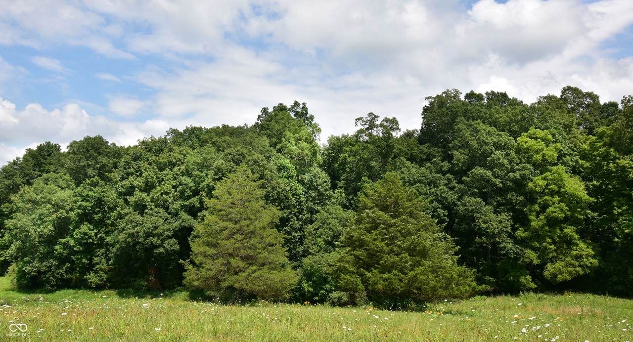 https://bt-photos.global.ssl.fastly.net/indy/1280_boomver_1_22118007-1.jpg