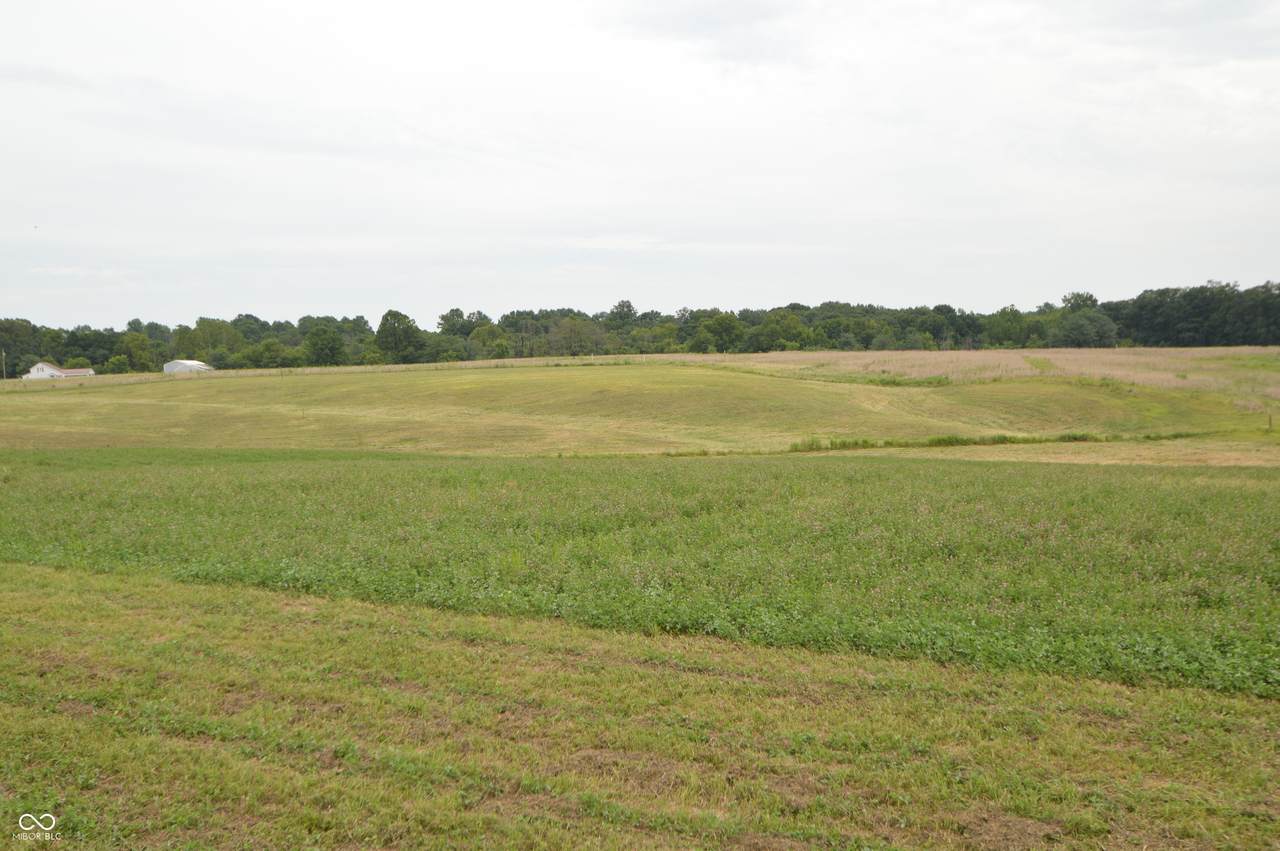 Tract P & Q County Road 675 - Photo 1