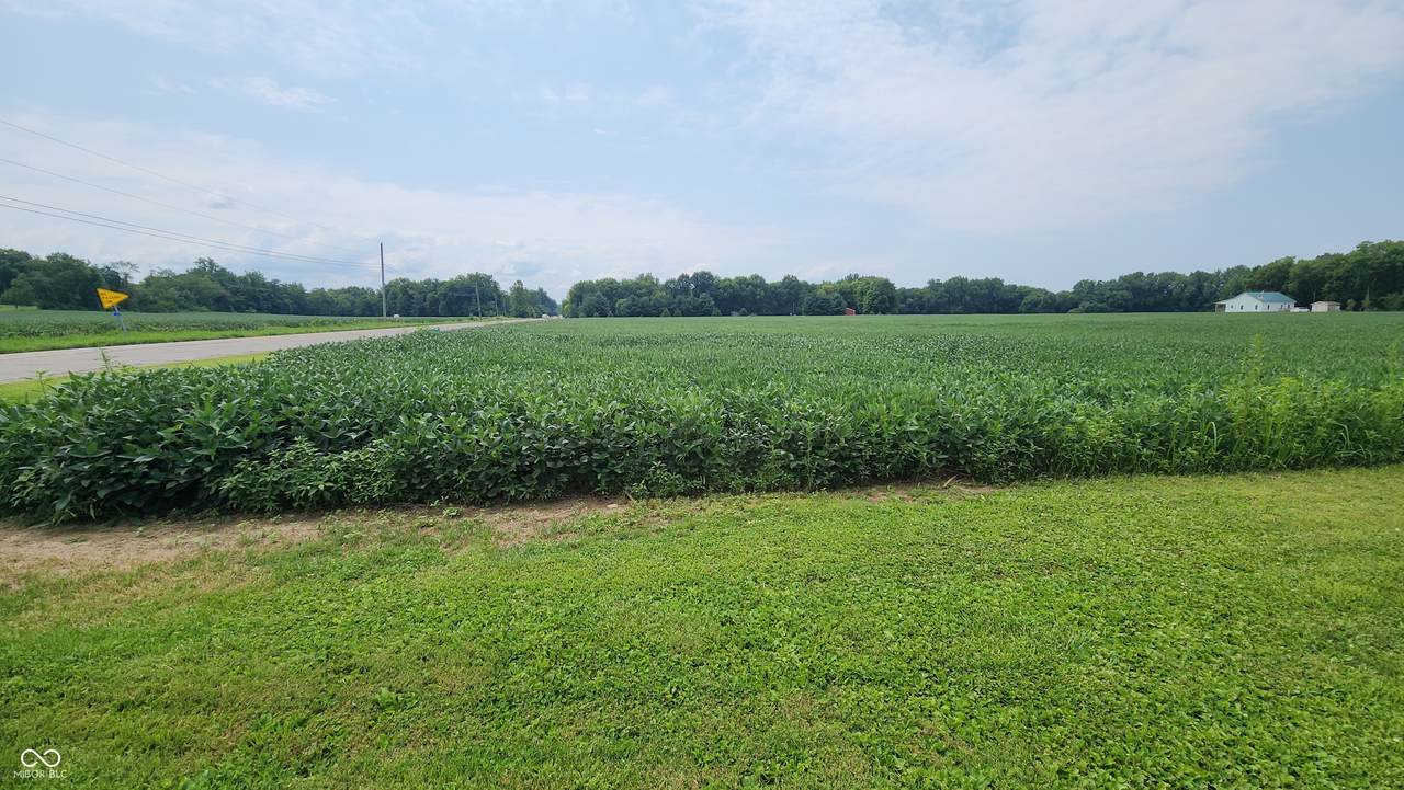 0 Hwy 41 - Photo 1